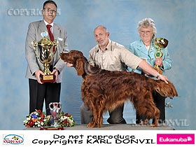 honden fokkers en hond foto's
