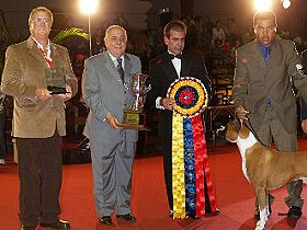 dogs breeders dog pictures
