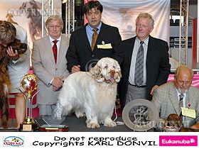chien �leveurs chiens photos