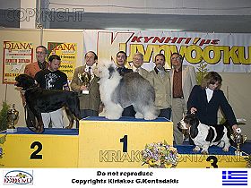 chien �leveurs chiens photos