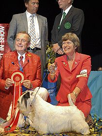 dogs breeders dog pictures
