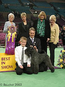 honden fokkers en hond foto's