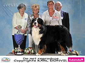 honden fokkers en hond foto's