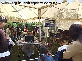 dogs breeders dog pictures