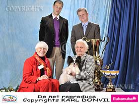 chien �leveurs chiens photos