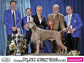 dogs breeders dog pictures
