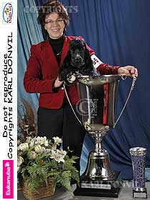 honden fokkers en hond foto's