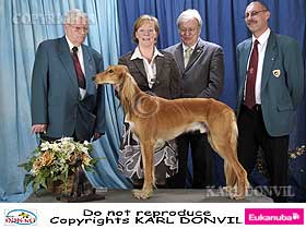 honden fokkers en hond foto's