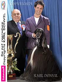 honden fokkers en hond foto's