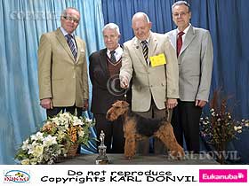 chien �leveurs chiens photos