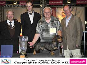 honden fokkers en hond foto's