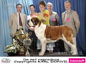 chien �leveurs chiens photos