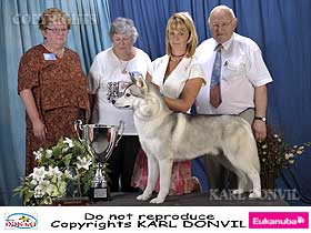 honden fokkers en hond foto's