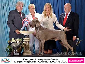honden fokkers en hond foto's