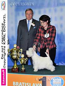 honden fokkers en hond foto's