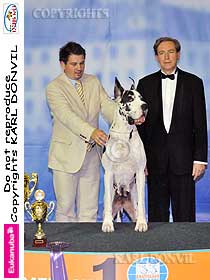 honden fokkers en hond foto's