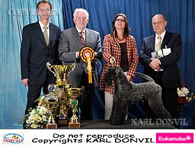 dogs breeders dog pictures