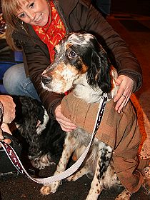 honden fokkers en hond foto's