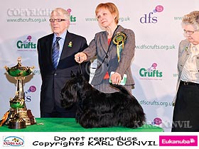 honden fokkers en hond foto's