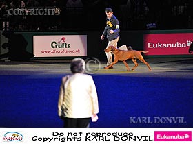 honden fokkers en hond foto's