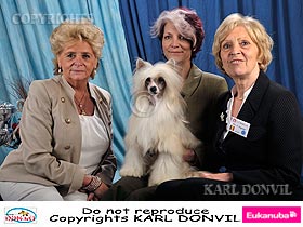 honden fokkers en hond foto's