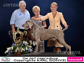chien �leveurs chiens photos