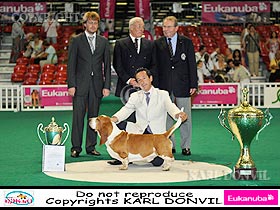 chien �leveurs chiens photos
