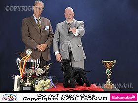 chien �leveurs chiens photos