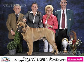 honden fokkers en hond foto's