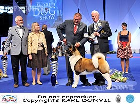 dogs breeders dog pictures