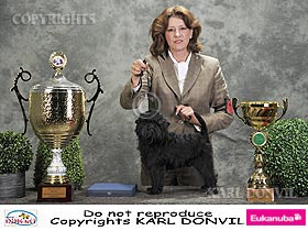 honden fokkers en hond foto's