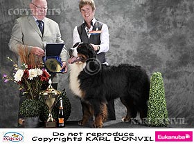 honden fokkers en hond foto's