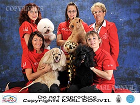 dogs breeders dog pictures