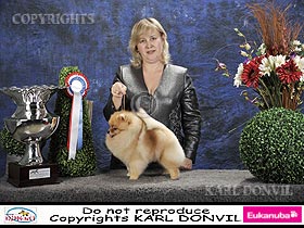 honden fokkers en hond foto's