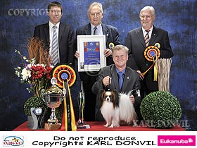 chien �leveurs chiens photos
