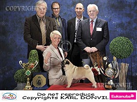 honden fokkers en hond foto's