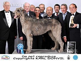 honden fokkers en hond foto's