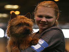 honden fokkers en hond foto's