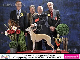 honden fokkers en hond foto's