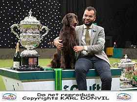 honden fokkers en hond foto's