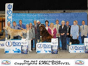 dogs breeders dog pictures