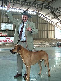 honden fokkers en hond foto's