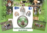 No picture